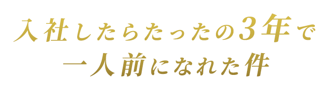 入社したらたったの3年で一人前になれた件